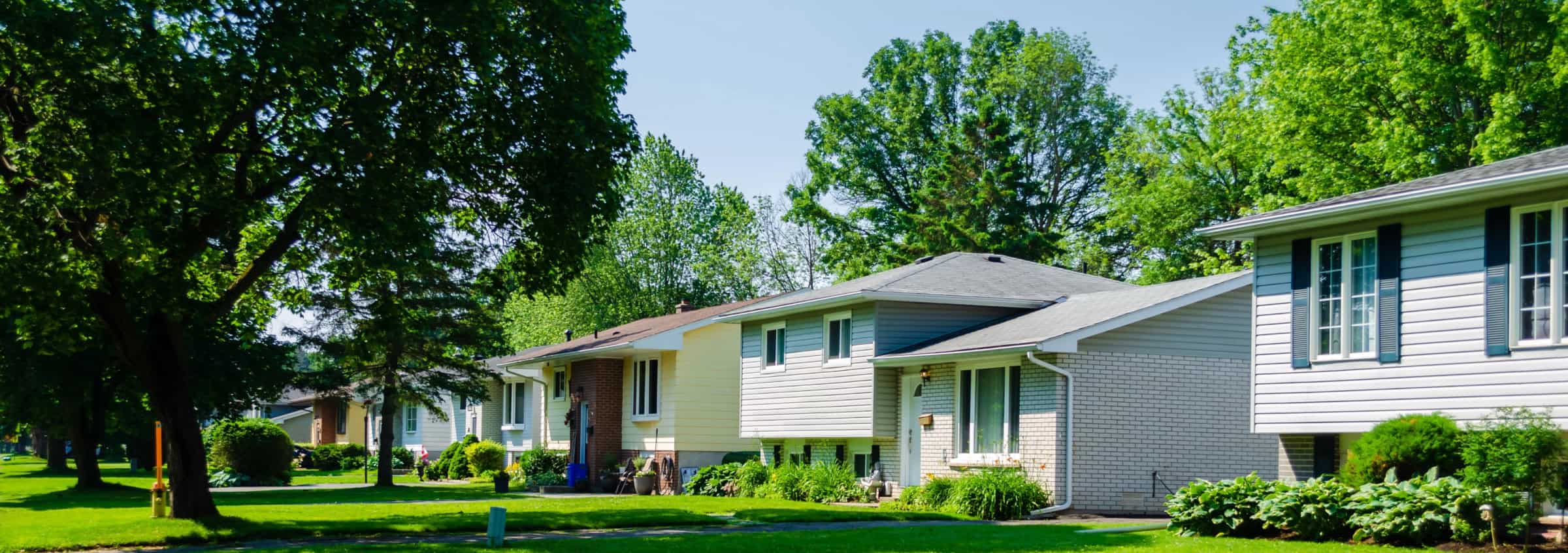 homes in a neighborhood