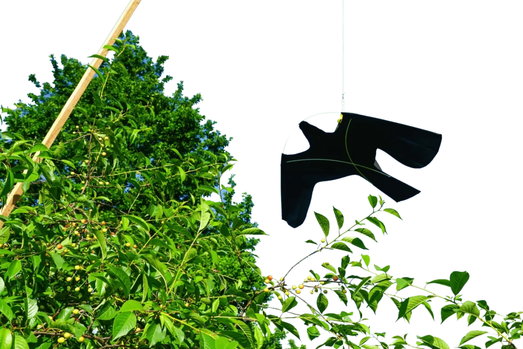 bird decoy