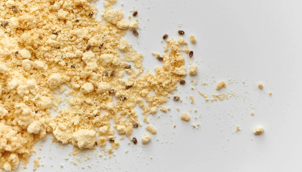 Flour Beetles