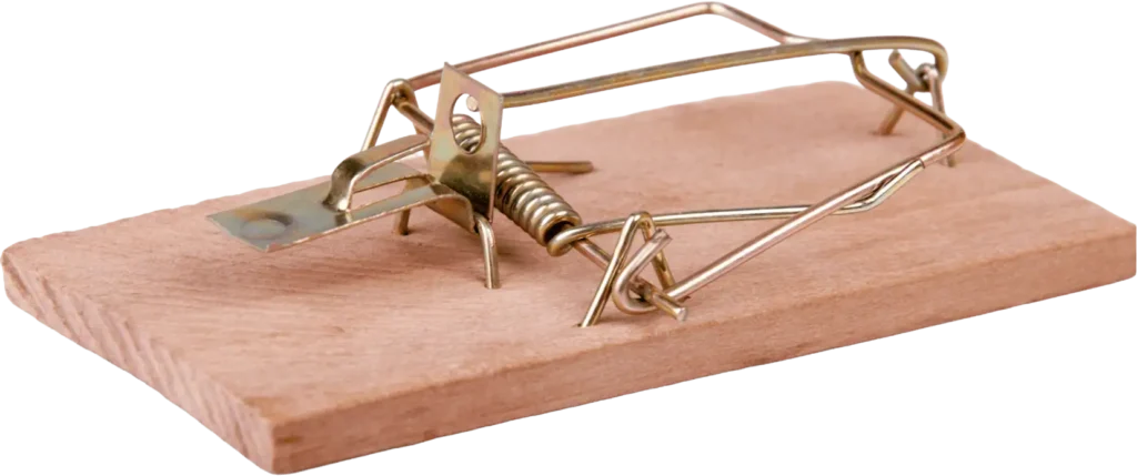 rat trap