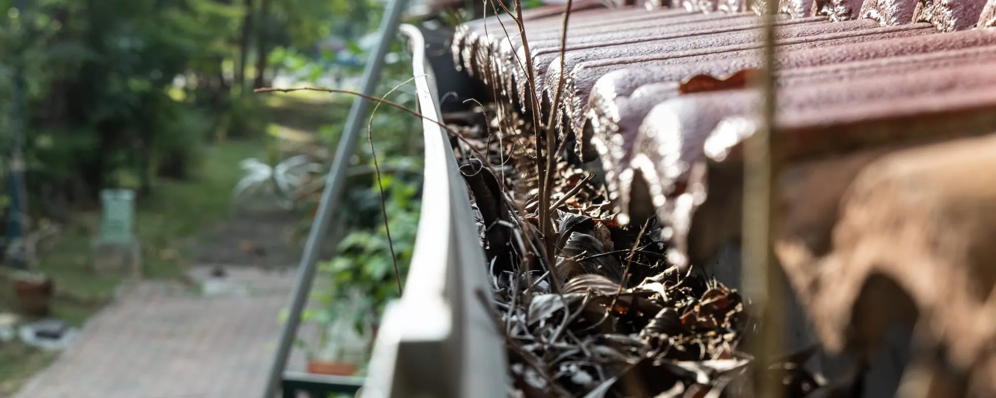 Gutter full of leaves and twigs
