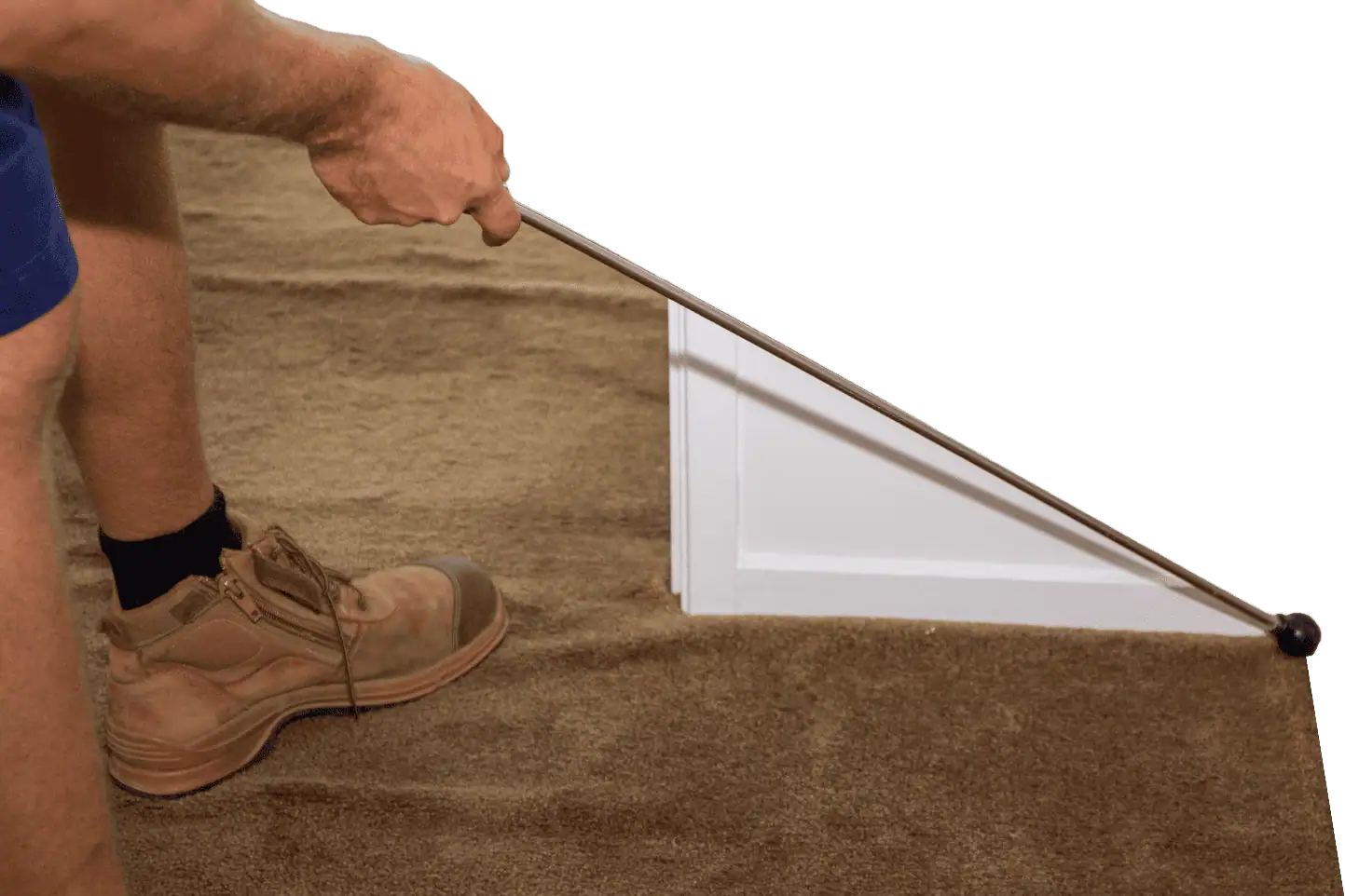 Person inspecting for termites