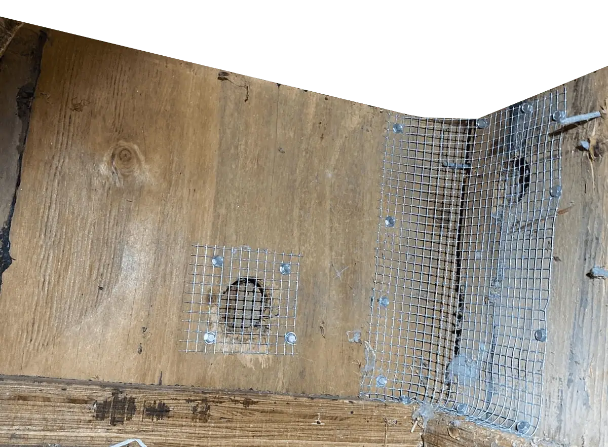 Metal netting over holes in wood