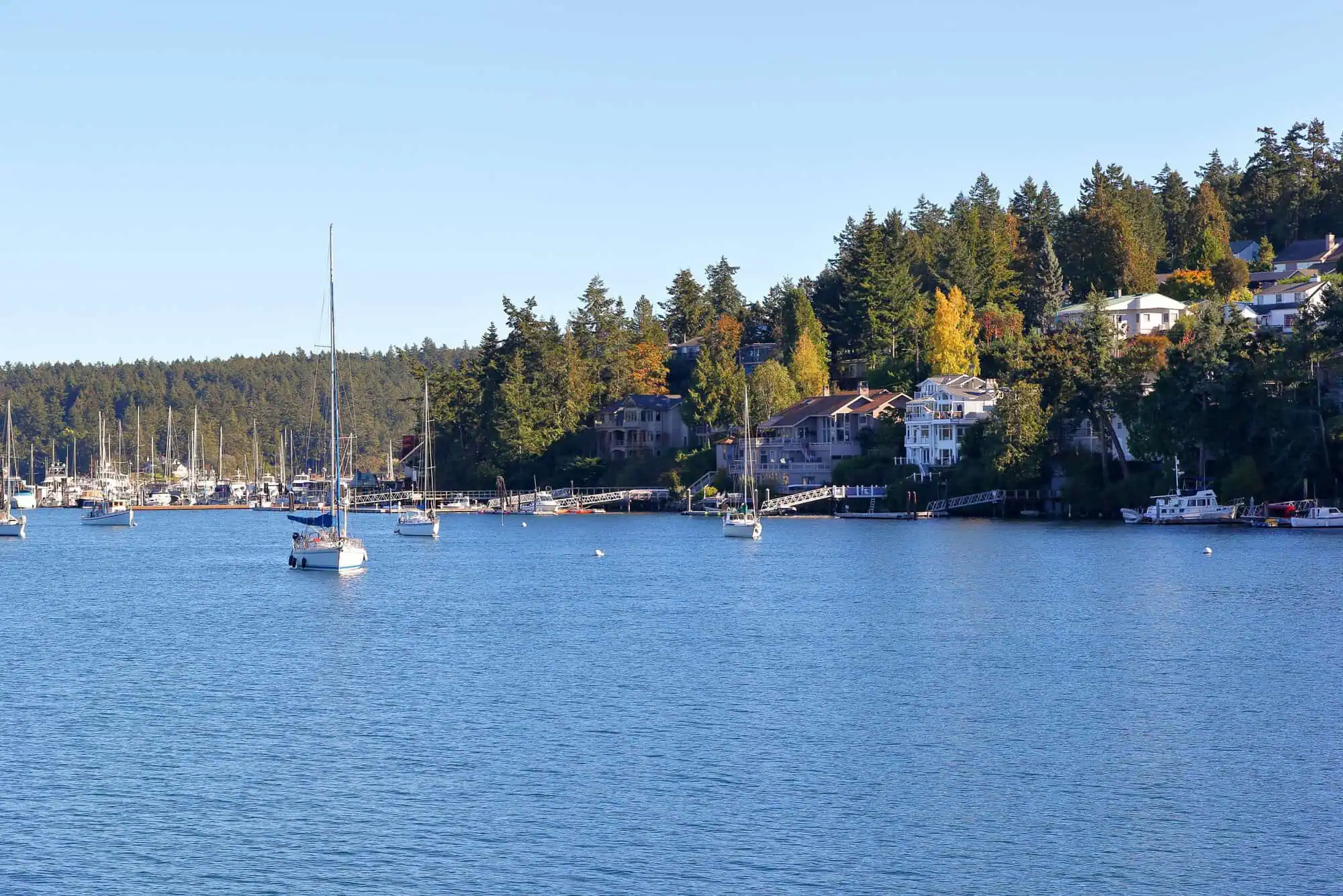 Friday Harbor, WA